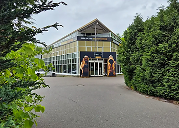 LIMITLESS Chemnitz image LIMITLESS Chemnitz