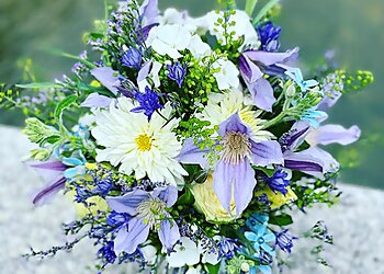 Lieblingsblume image Lieblingsblume