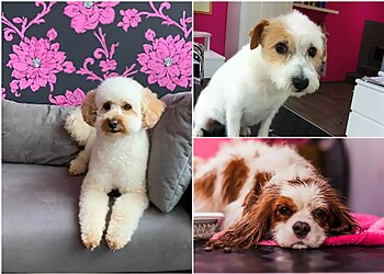 Lindas Hundesalon image Lindas Hundesalon