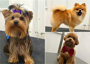 Liva‘s Beauty image Liva‘s Beauty