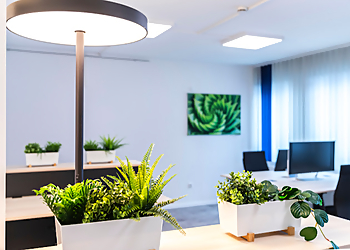 LottaLeben Media GmbH image LottaLeben Media GmbH