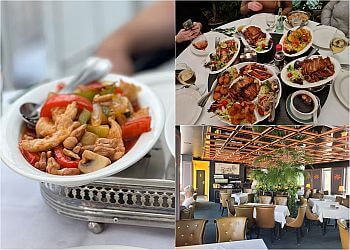 Lotusgarten Osnabrück image Lotusgarten Osnabrück