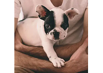 Luisa & Friends Hundesitting Agentur image Luisa & Friends Hundesitting Agentur