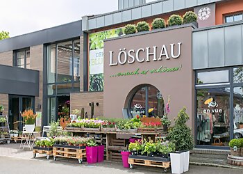 Löschau Raumbegrünung & Ambiente photo Löschau Raumbegrünung & Ambiente
