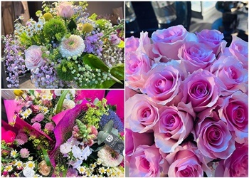 Löschau Raumbegrünung & Ambiente image Löschau Raumbegrünung & Ambiente