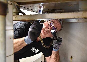 MWH Schädlingsbekämpfung image MWH Schädlingsbekämpfung