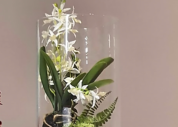 Maier & Wintz Fachanwälte für Strafrecht und Verkehrsrecht image Maier & Wintz Fachanwälte für Strafrecht und Verkehrsrecht