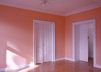 Malermeisterin Annett Junghans image Malermeisterin Annett Junghans