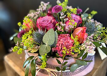 Maria Renner photo Maria Renner