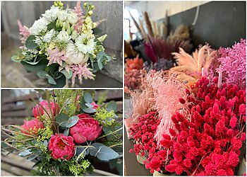 Maria Renner image Maria Renner