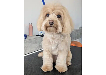 Mariana's Hundesalon image Mariana's Hundesalon