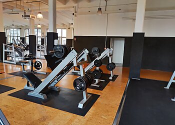 McFIT Dresden photo McFIT Dresden