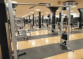 McFIT Fitnessstudio Halle (Saale) photo McFIT Fitnessstudio Halle (Saale)