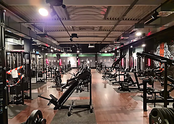 McFIT REGENSBURG REINHAUSEN McFIT REGENSBURG REINHAUSEN