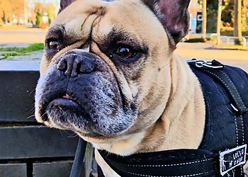 Medivet Gelsenkirchen image Medivet Gelsenkirchen