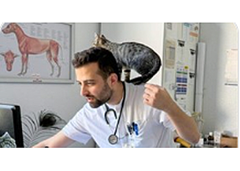 Medivet Heidelberg photo Medivet Heidelberg