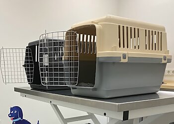 Medivet Tierarztpraxis Mannheim photo Medivet Tierarztpraxis Mannheim