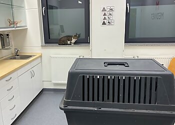 Medivet Tierarztpraxis Mannheim