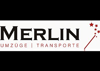 Merlin Transporte photo Merlin Transporte