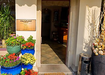 Mikado Friends photo Mikado Friends