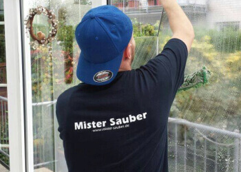 Mister Sauber image Mister Sauber