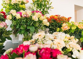 Mitbringsel Svenja Dembour image Mitbringsel Svenja Dembour