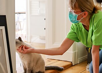 Mobiler Tierarzt Halle photo Mobiler Tierarzt Halle