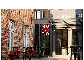 Moskito photo Moskito