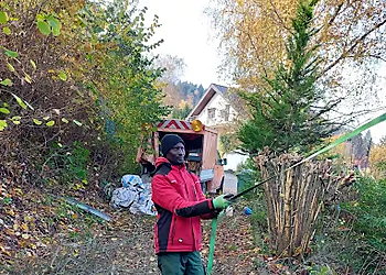 Mr. Green Gartenpflege image Mr. Green Gartenpflege