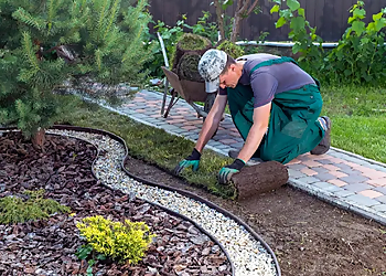 Mr. Green Gartenpflege