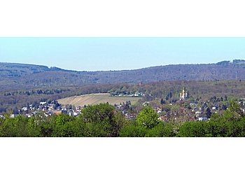 NATURHEILPRAXIS DR. MANFRED SCHÖNEBERGER image NATURHEILPRAXIS DR. MANFRED SCHÖNEBERGER