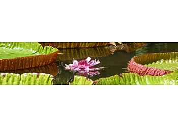 Natura-Sana Praxis für Chinesische Medizin und ganzheitliche Gesundheit photo Natura-Sana Praxis für Chinesische Medizin und ganzheitliche Gesundheit