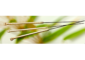 Naturheilpraxis Mansoureh Kharej photo Naturheilpraxis Mansoureh Kharej