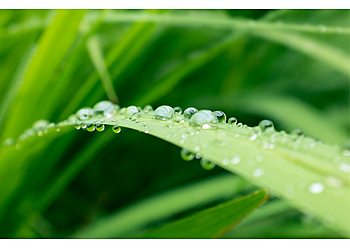 Naturheilpraxis Silke Alheidt-Kahle Naturheilpraxis Silke Alheidt-Kahle