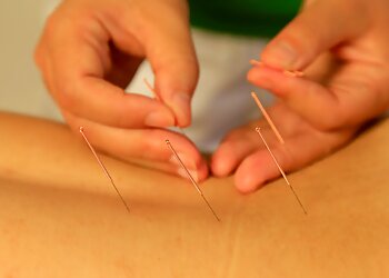 Naturheilpraxis-Wang image Naturheilpraxis-Wang