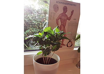 Naturheilpraxis am Grünewald image Naturheilpraxis am Grünewald