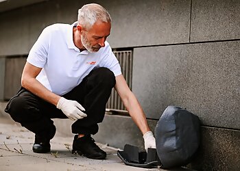 PESTSAFE Schädlingsbekämpfung Düsseldorf photo PESTSAFE Schädlingsbekämpfung Düsseldorf