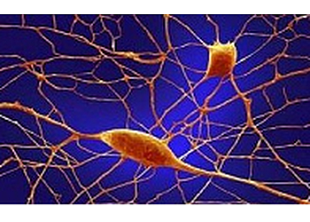 PRIVATPRAXIS HUANG image PRIVATPRAXIS HUANG