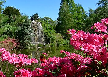 Palmengarten Frankfurt photo Palmengarten Frankfurt