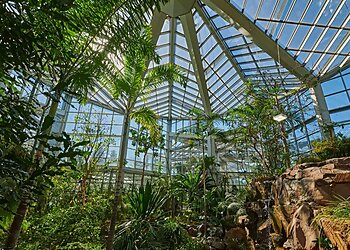Palmengarten Frankfurt image Palmengarten Frankfurt
