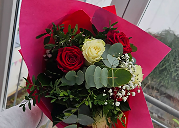 Parisa Bluete image Parisa Bluete