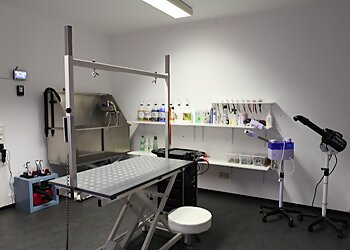 Patricia's Wackl Dackl photo Patricia's Wackl Dackl