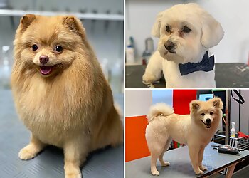 Patricia's Wackl Dackl image Patricia's Wackl Dackl