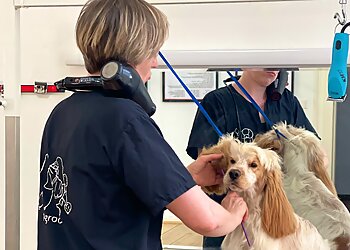 Paws & Tails Grooming Salon photo Paws & Tails Grooming Salon