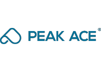 Peak Ace AG