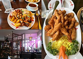 Pekingente Rostock image Pekingente Rostock