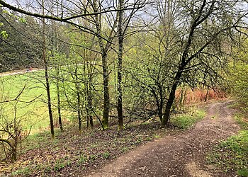 Perlacher Mugl photo Perlacher Mugl