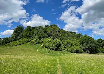 Perlacher Mugl image Perlacher Mugl