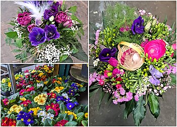 Pflanzen und Floristikmarkt Hinz image Pflanzen und Floristikmarkt Hinz