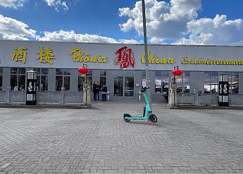 Phönix photo Phönix